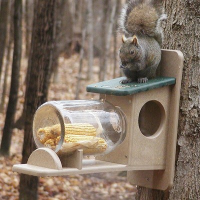 Birds Choice Squirrel Jar Feeder