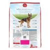 Purina ONE +Plus Joint Health Natural Chicken Flavor Dry Dog Food - 16.5lbs - 2 of 4