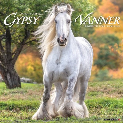 2022 Wall Calendar Gypsy Vanner Horse - Willow Creek Press