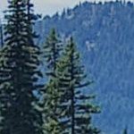 theo black silver narrow