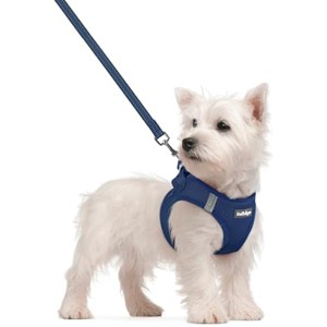 rabbitgoo Dog Harness Small Sized and Leash Set, Step in Soft Light Puppy Vest, Breathable Mesh Pet Harness, Navy Blue S - 1 of 1