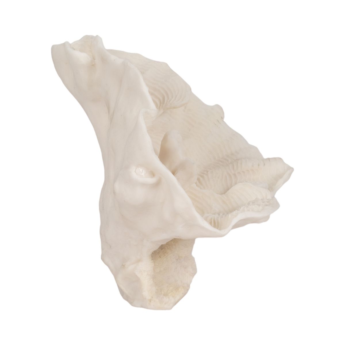 Decorative Coral Inspired Sculpture for Home, Bathroom and Living Room Decor - Coastal Resin Ornaments for Shelf and Office Display - 6", Ivory & Tan - thumbnail 8