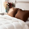 2 Pack Brushed Microfiber Pillow Shams, Super Soft and Cozy Oxford Pillowcases - NTBAY - 3 of 4