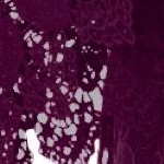 dark berry