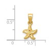 Black Bow Jewelry 14k Yellow Gold Mini Diamond Cut Satin Starfish Pendant - 4 of 4