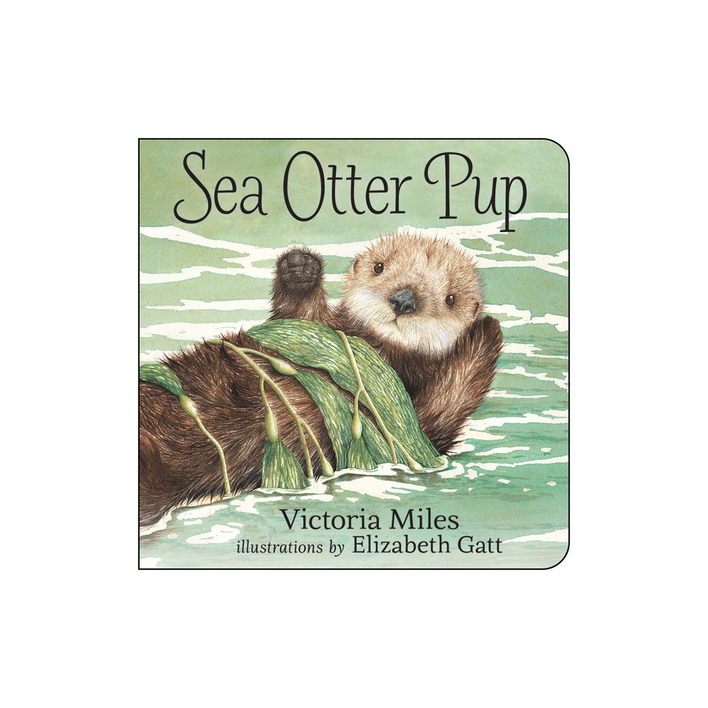 Sea Otter Pup - by Victoria Miles (Board Book)