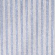 blue bengal stripe