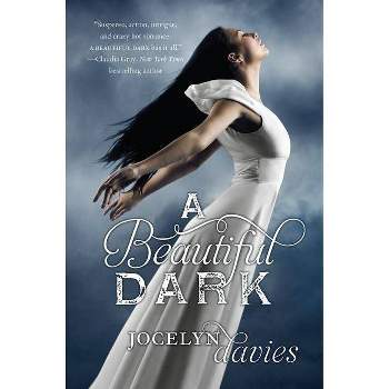 A Beautiful Dark - by  Jocelyn Davies (Paperback)