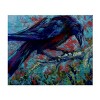 Marion Rose 'Raven' Canvas Art - 2 of 4