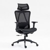 Dolonm Ergonomic Home  Office Chair with Adjustable Lumbar & Headrest - Breathable Mesh Back, 3D Armrests, 90°-120° Recline - 2 of 4