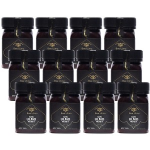 Bee Ulmo Raw Honey APF 200+ - Case of 12/8.8 oz - 1 of 3