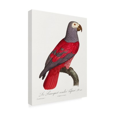 Red and Gray Parrot Vertical Canvas Art, 14x19