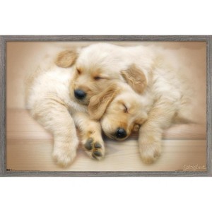 Trends International Keith Kimberlin - Puppies - Golden Retrievers Cuddling Framed Wall Poster Prints - 1 of 4