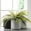 Sullivans Set of 3 Small Ceramic Planter Pots 6"H White, Blue & Black - 4 of 4