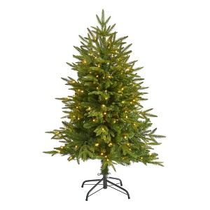 Nearly Natural 4' Pre-Lit LED Colorado Mountain Fir Artificial Christmas Tree Clear Lights - 1 of 4