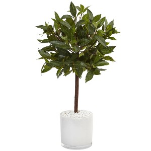 2ft Artificial Sweet Bay Tree in White Glossy Cylinder - Nearly Natural: Indoor Decorative Faux Foliage - 1 of 3