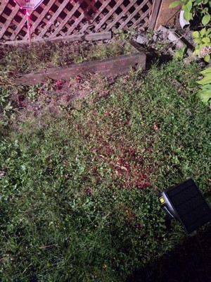 Guest review image 3 of 3, zoom in