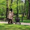 4 Wheels Pet Stroller Foldable Carrier Strolling Cart Travel Jogger Pet Stroller with Removable Liner Storage Basket for Dog Cat - 3 of 4