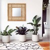 23.5" Square Modern Wood Rattan Wall Mirror Brown - Storied Home - 3 of 4