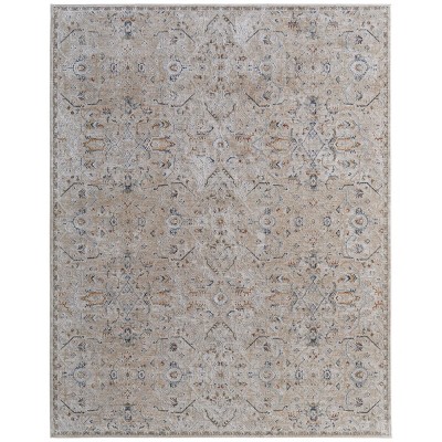 Pasha Transitional Distressed Area Rug