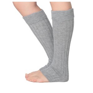 Isadora Paccini Women's 80s Style Ribbed Knit Graceful Grey Leg Warmers for Parties & Sports Accessories - 1 of 1