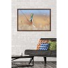 Trends International The Comedy Wildlife Photography Awards: Anup Deodhar - Rockstar Framed Wall Poster Prints - 2 of 4
