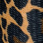 leopard print