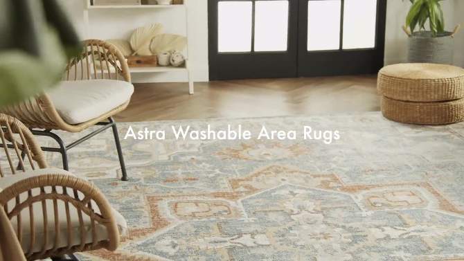 Nourison Washable Astra Vintage Persian Indoor Flatweave Area Rug, 2 of 9, play video