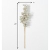 Sullivans Berry Artificial Stem 25"H Brown - 3 of 3