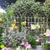 COMHOMA 2/4 Pack Metal Garden Trellis 71" x 19.7" Rustproof Trellis for Climbing Plants Outdoor Flower Support - 4 of 4