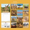2026 Square Wall Calendar, Safari, 16-Month Natural World Theme with 180 Reminder Stickers (12x12 In) - 4 of 4