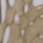 black, white, translucent