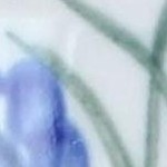 hyacinth