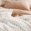 Bedsure | Indulge in Comfort Bed Blanket with Unique Chunky Corduroy Texture - 3 of 4