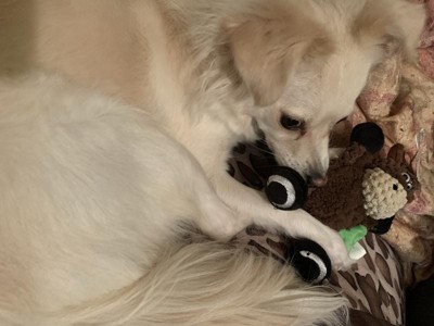 Guest review image 1 of 5, zoom in