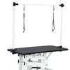 YOOCOZZ 42.5'' Adjustable Heavy Type Hydraulic Pet Dog Grooming Table (Upgraded) with Adjustable Arm and Noose-Black - 4 of 4
