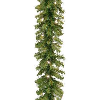 National Tree Company 9 ft. Norwood Fir Garland with Twinkly™ LED Lights