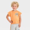 Toddler Boys' 2pc Bluey and Friends Short Sleeve T-Shirt & Shorts Set - Orange - 3 of 4