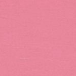 pink carnation