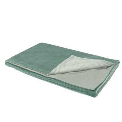 Celadon Green XL Reversible Velvet Waterproof Pet Blanket