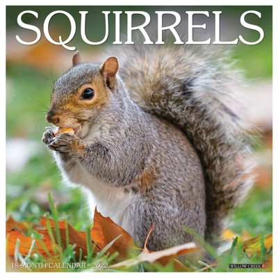 2022 Wall Calendar Squirrels - Willow Creek Press