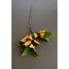 Artificial Magnolia Leaves Spray 40"L – Lush Greenery Stem, Set of 6 by Kalalou - 2 of 3