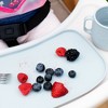 green sprouts Baby Mealtime Set Easywear Bibs Mini Platemat Gray/Aqua - 4pc - 4 of 4