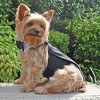 Doggie Design Black Dog Harness Wedding Tuxedo w/Tails, Bow Tie, and Cotton Collar - image 3 of 4