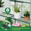 Generic 56×56×78Inch Walk-in Greenhouse, Heavy Duty Small Plant House - 4 of 4