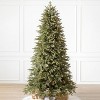 Balsam Hill 9' Clear LED Stratford Spruce Tree - 2 of 4