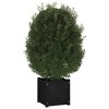 vidaXL Garden Planters 2 pcs Black 15.7"x15.7"x15.7" Solid Wood Pine - 3 of 4