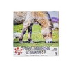KI Puzzles Donkey 100 Piece Photographic Collection Jigsaw Puzzle - 2 of 4