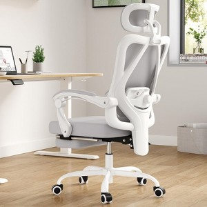 Fontoi Task and Office Chairs, Ergonomic Office Chair with Adjustable Lumbar Support, Home Office Desk Chair with Headrest, Gray, 24.8"*24.8"*49.2" - 1 of 4