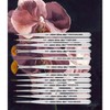 Silver Brush Ultra Mini® Miniature Detail 12-Piece Brush Set - 3 of 4